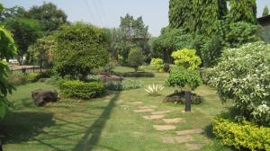 Garden in BKC image 1