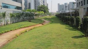 Garden in BKC image 2